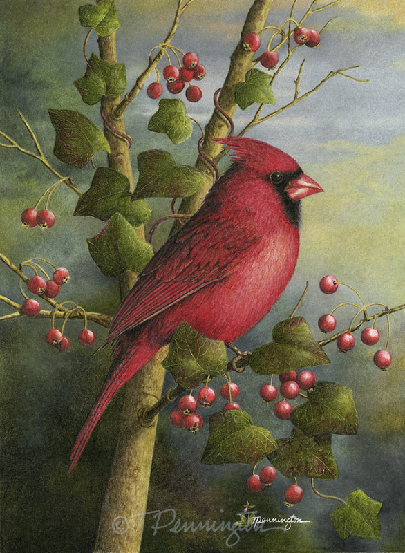 Jewel Tones -- Male Cardinal